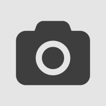 Fourth Article
